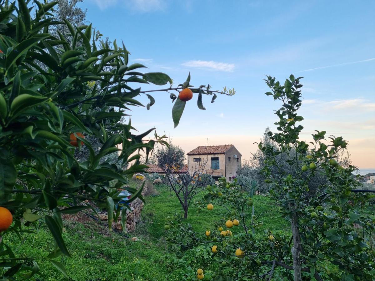 La Fattoria Sul Mare Reitano (Messina)